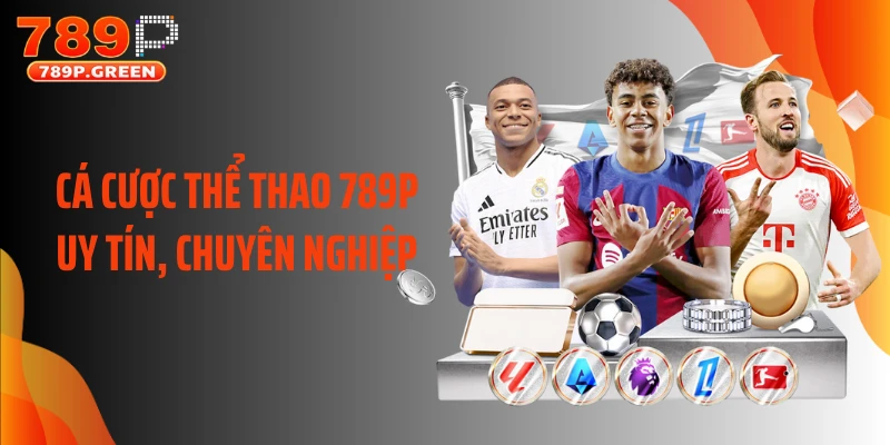 Cá cược thể thao 789P uy tín, chuyên nghiệp