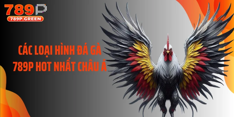 Các loại hình đá gà 789P hot nhất châu Á