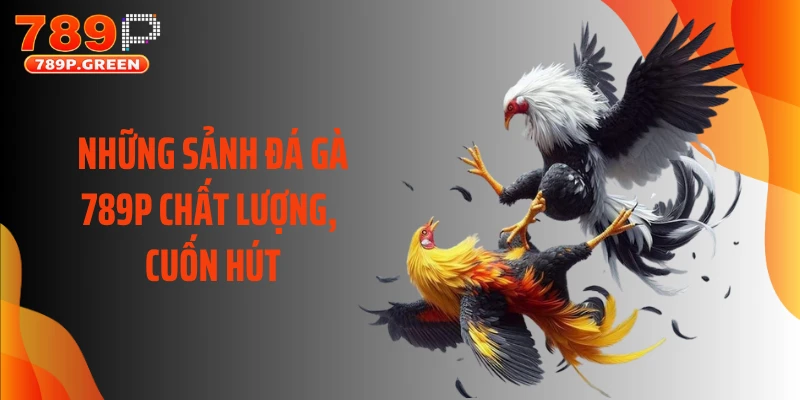 Những sảnh đá gà 789P chất lượng, cuốn hút